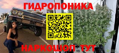 стаф Лесосибирск