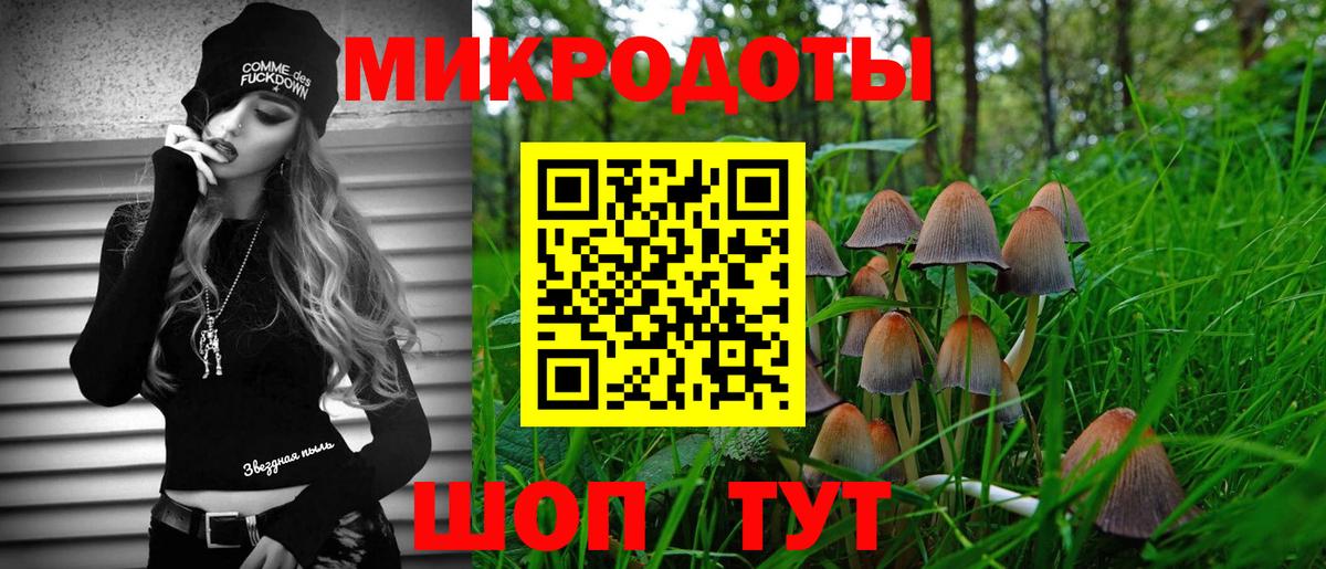 Псилоцибиновые грибы Psilocybine cubensis Зеленодольск
