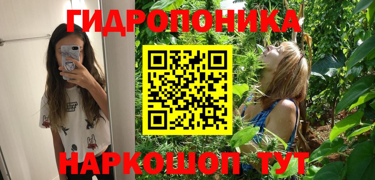 Зеленодольск  Бошки Шишки OG Kush  Вход с VPN  Канабис планчик  Бошки Шишки планчик 